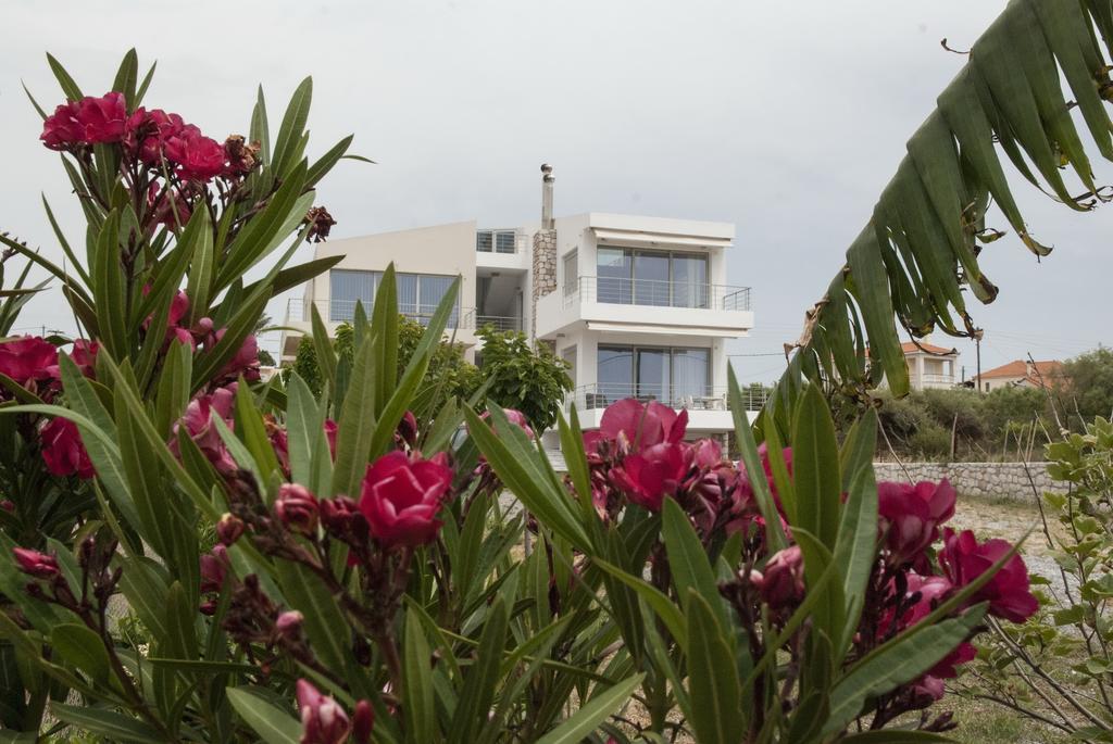 Ilios H&E House Lägenhet Elia  Exteriör bild